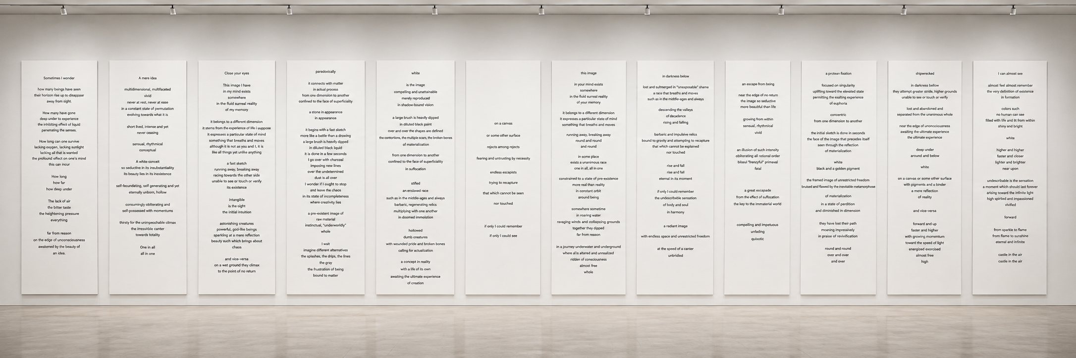 Twelve tall white panels hung side by side along a gallery wall, each carrying a section of the text in black, centered lines.